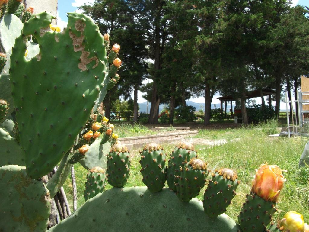 Agriturismo Mandriato Santa Luce Ngoại thất bức ảnh